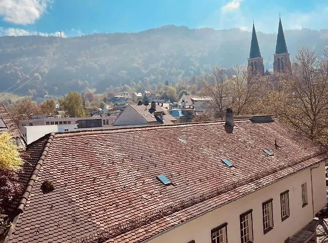 Penthouse Im Zentrum Von Bregenz